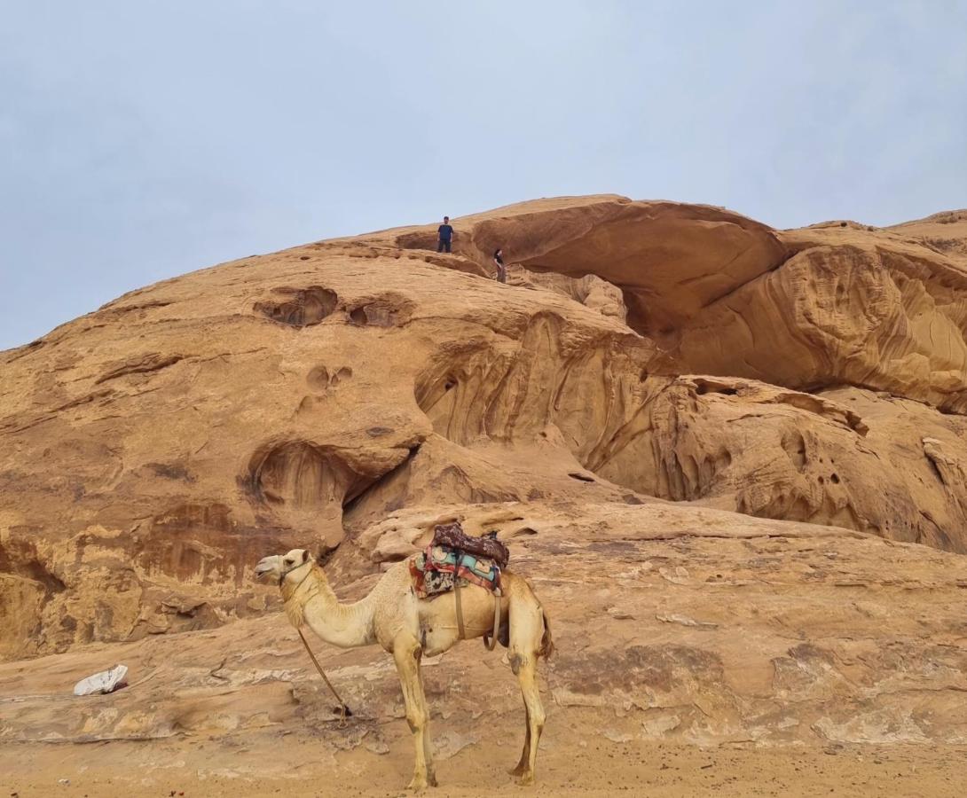 Wadi Rum Hugo Camp Exteriér fotografie